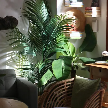 Hotel Banana Garden La Palma *