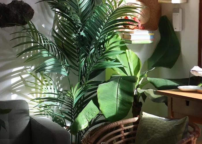 Отель Banana Garden La Palma *