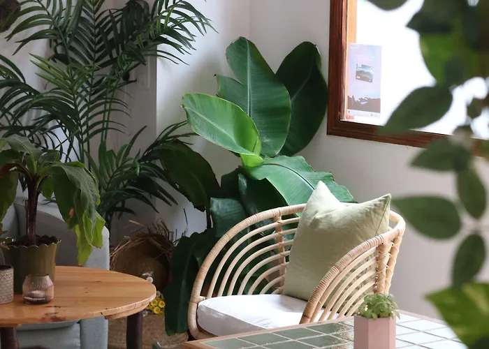 Banana Garden La Palma Отель Санта-Круз-де-ла-Пальма